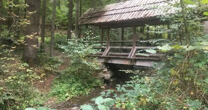 Große FeWo für 10 Personen, mit Sauna und Bar am Kylltal Radweg