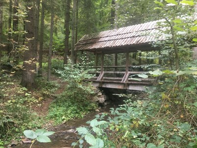 Large apartment for 10 people, with sauna, on the Kylltal bike path 