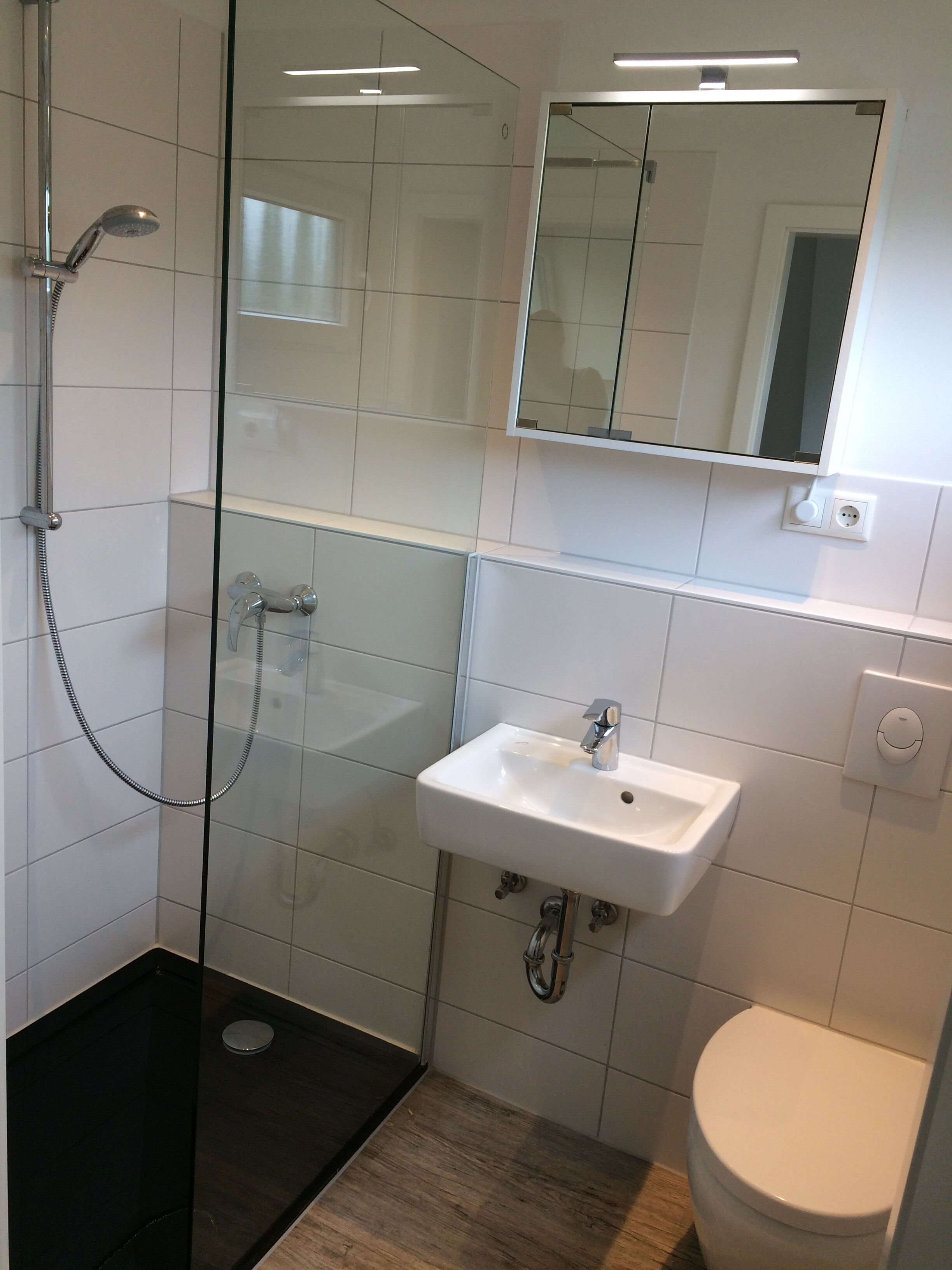 A modern bathroom with a glass shower enclosure, a white sink, and a toilet.