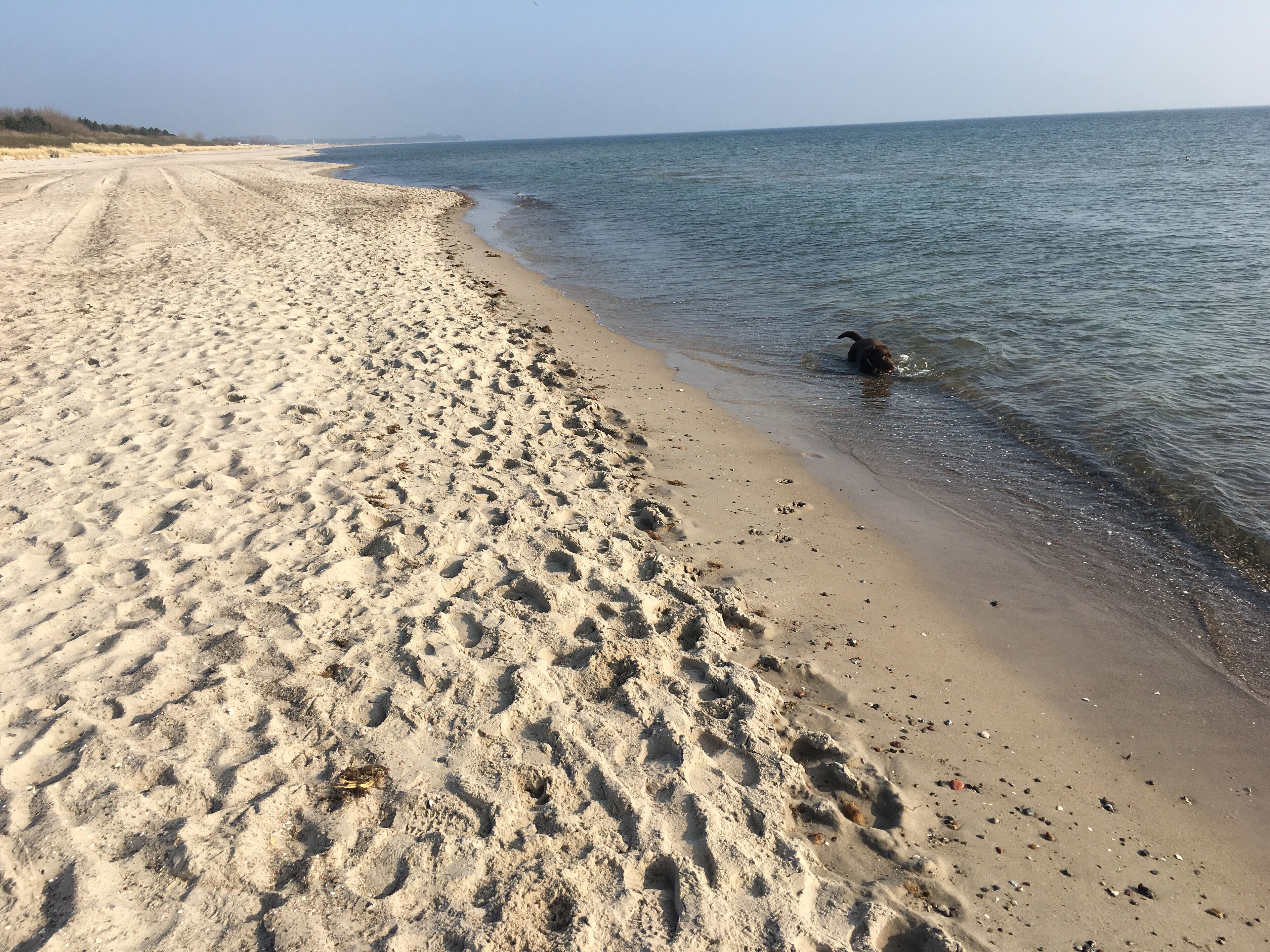 Beach nearby, sun loungers
