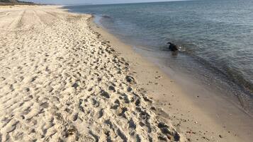 Plage à proximité, chaises longues