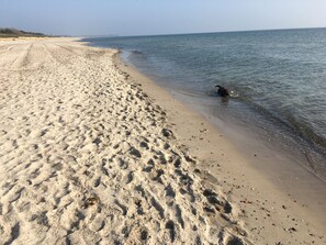 Ranta lähistöllä, aurinkotuoleja