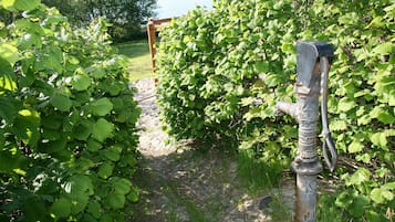 Overnatningsstedets område