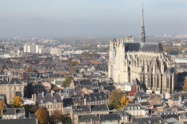 A historic cathedral with intricate Gothic architecture, surrounded by a densely packed urban area with various buildings.