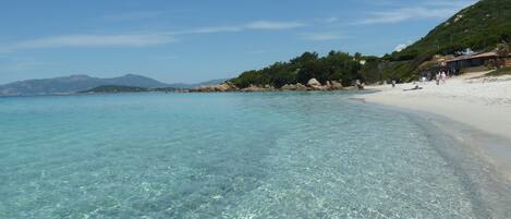 Plage à proximité