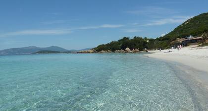 T3 nine exceptional furnished furnished 4 *