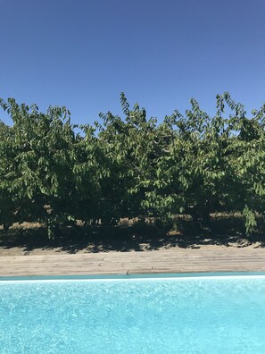 Outdoor pool - Heart of Provence - 130sqm - Private Pool - Air conditioning (Saint-Andiol)