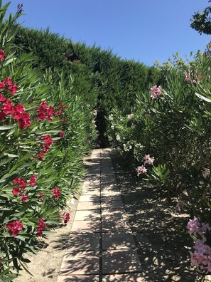 Jardines del alojamiento