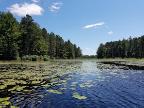 Lago