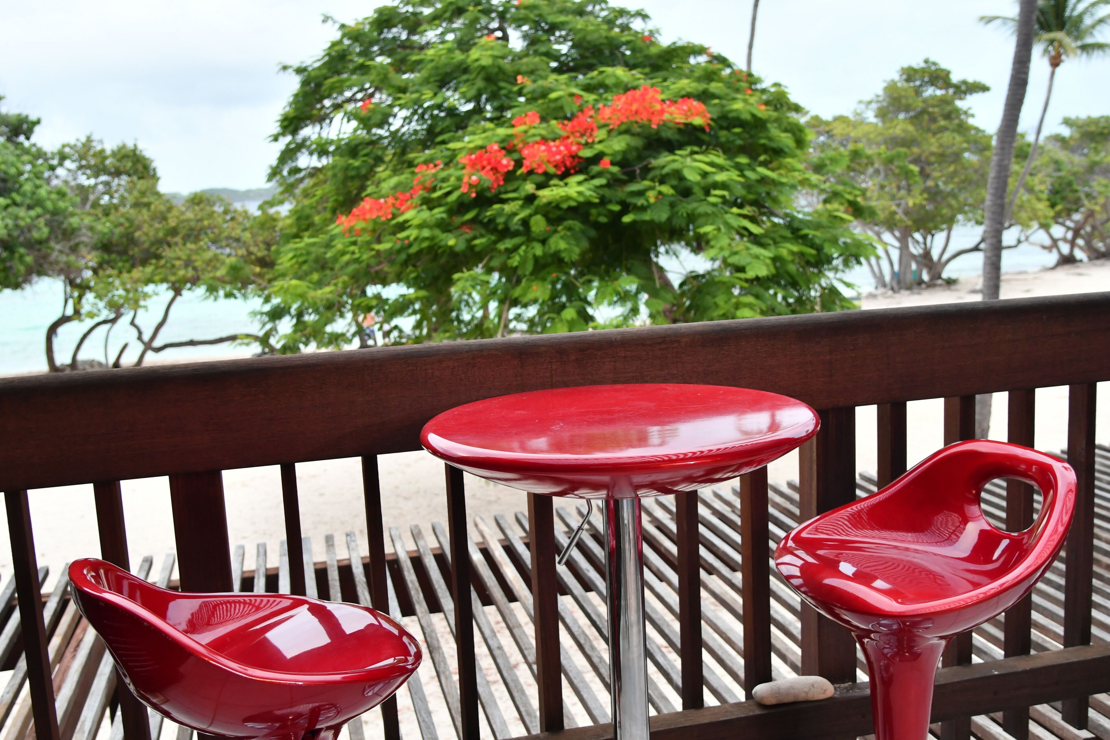 Une terrasse en bois avec deux chaises rouges et une table, donnant sur une plage bordée de palmiers et d’un grand arbre aux fleurs rouges.