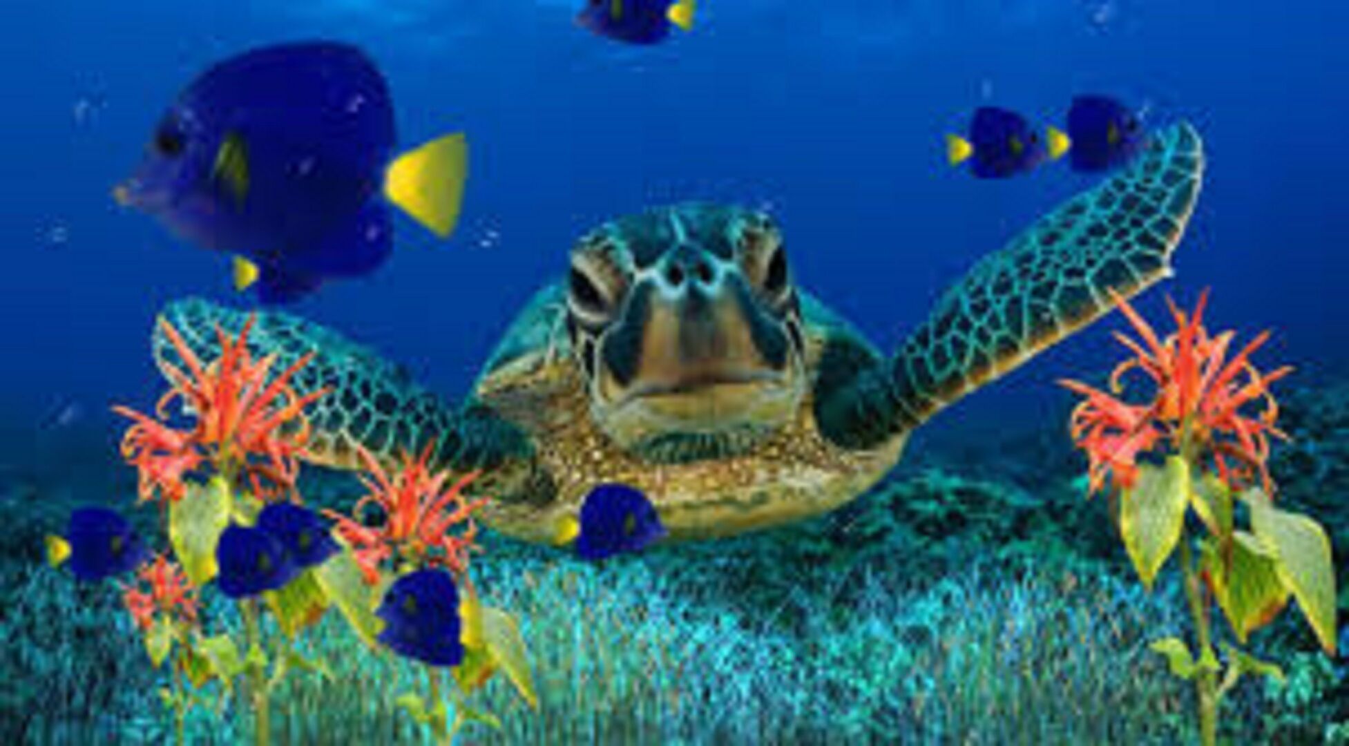 A sea turtle swimming among colorful coral and fish.