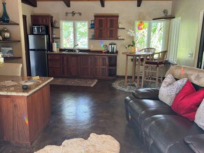 Smart TV, DVD player, books, video library