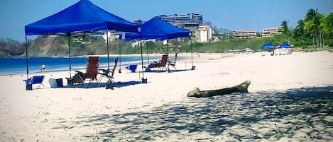 Chaise longue, serviettes de plage
