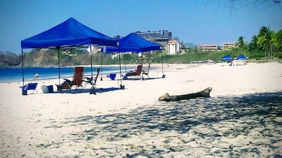 Ocean view and in heart of Playa Flamingo. Two blocks to two different beaches.