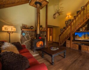 Smart TV, fireplace, video games, DVD player