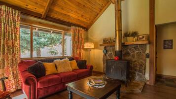 智能电视、壁炉、电子游戏、DVD 播放器