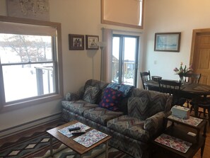 Smart TV, books, music library - TWO BEATIFUL CABINS  IN THE HEART OF RECREATION: (Spooner)
