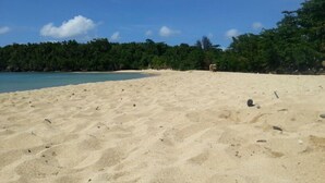 A wide sandy beach with a clear blue sky and a dense forest in the background. - Ocho Rios Modern Self Contained Studio with pool, cable, LED TV, fast Internet. (Ocho Rios)