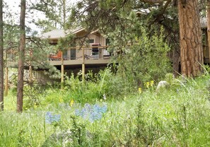 A two-story building with a balcony, surrounded by dense forest and wildflowers.