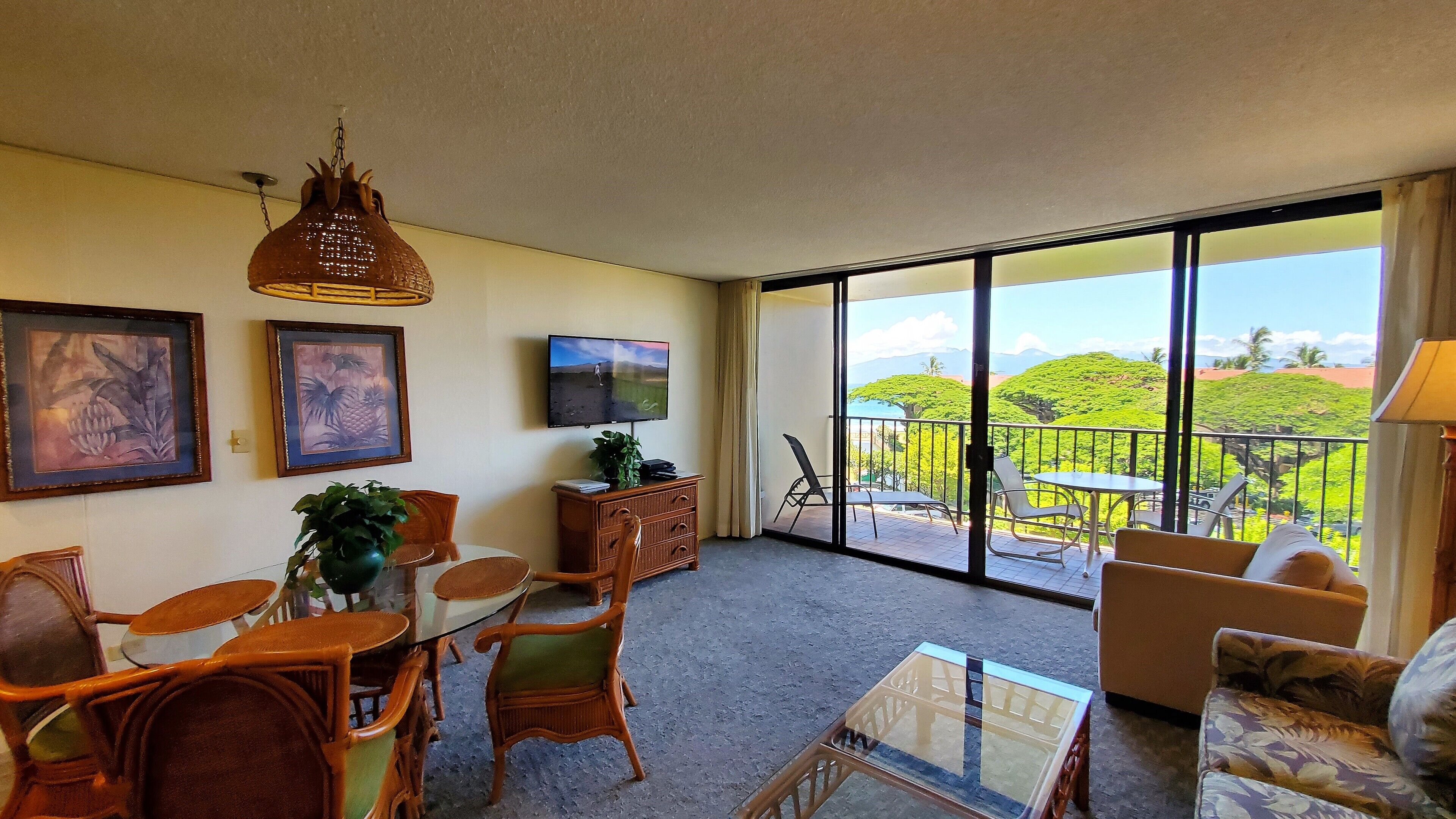 Télévision, lecteur de DVD, vidéothèque