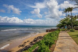 Ubicación a pie de playa, tumbonas y toallas de playa
