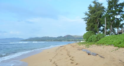 Unidad de plantación Hale con cocina, totalmente remodelado, a pie de playa. Estacionamiento gratis