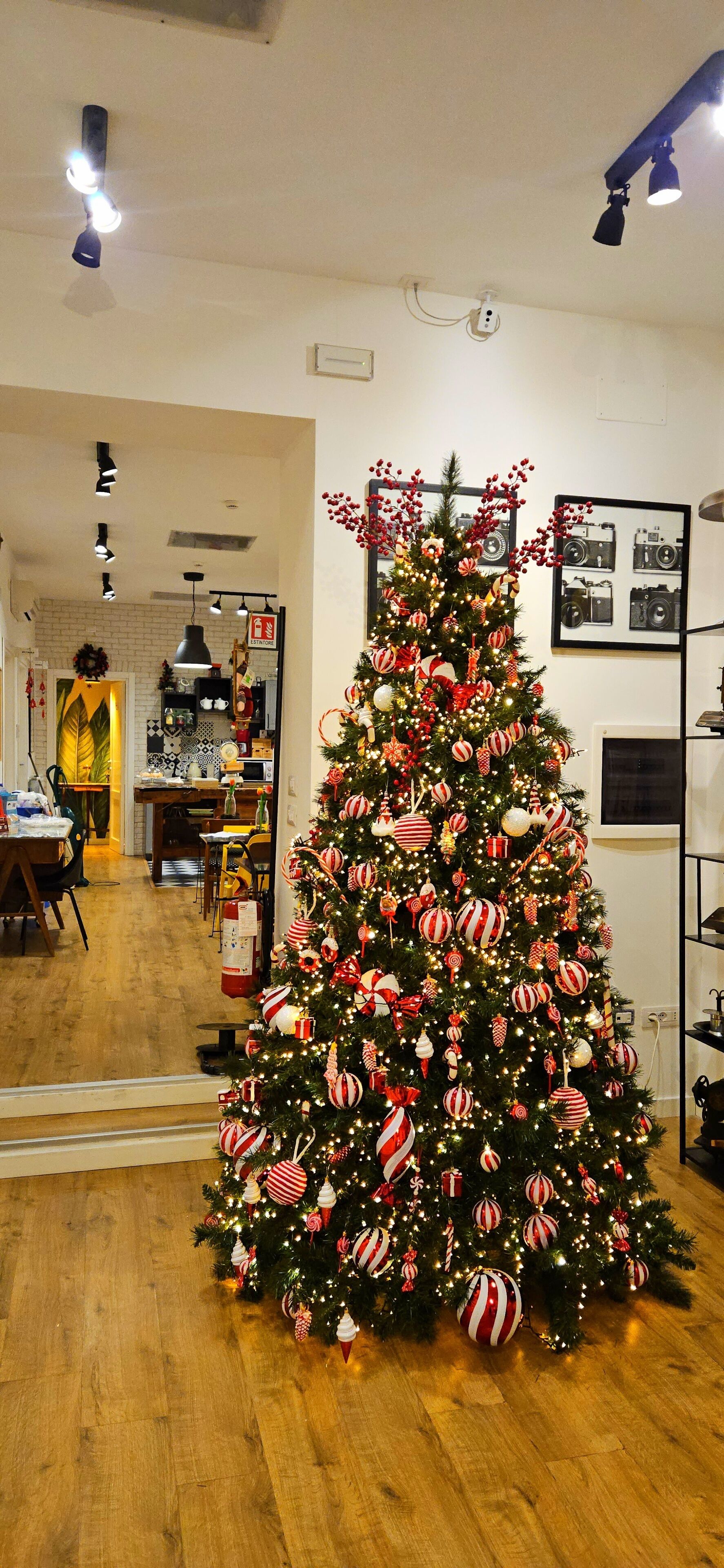 Foto - Daily Napoli - Lungomare