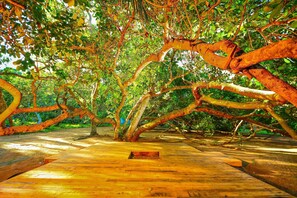 Garden - Handun Villas (Talalla)