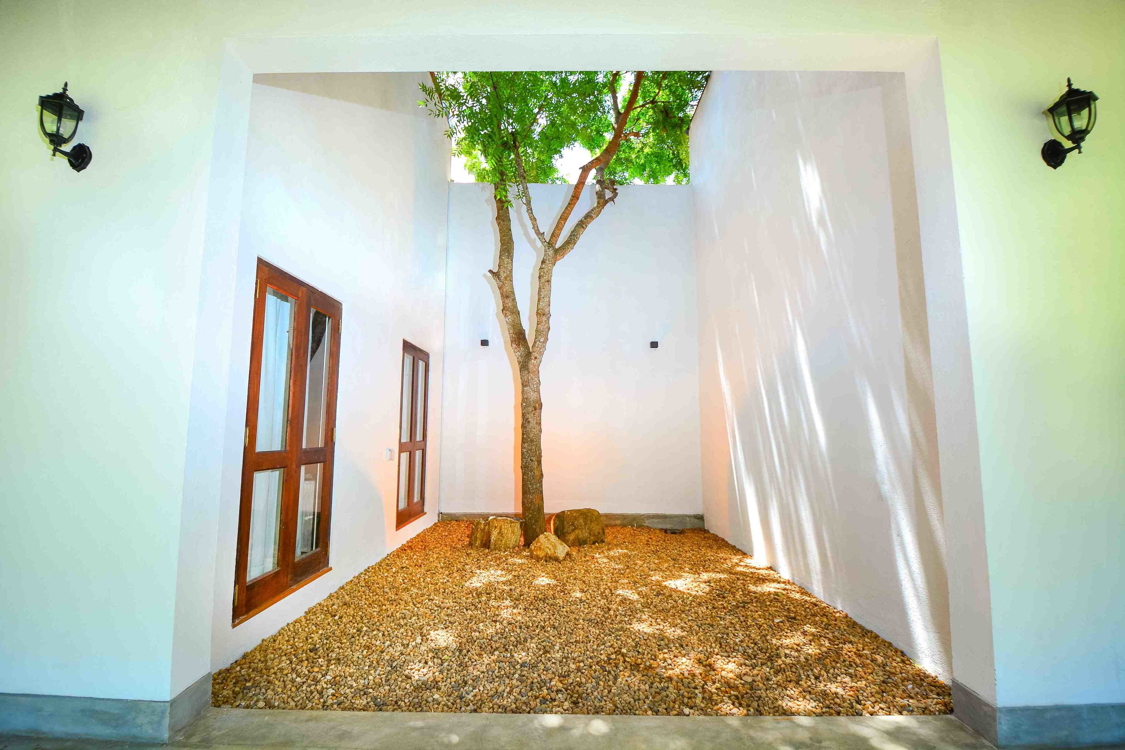 A narrow hallway with a tree, pebbles, and two wooden-framed windows.