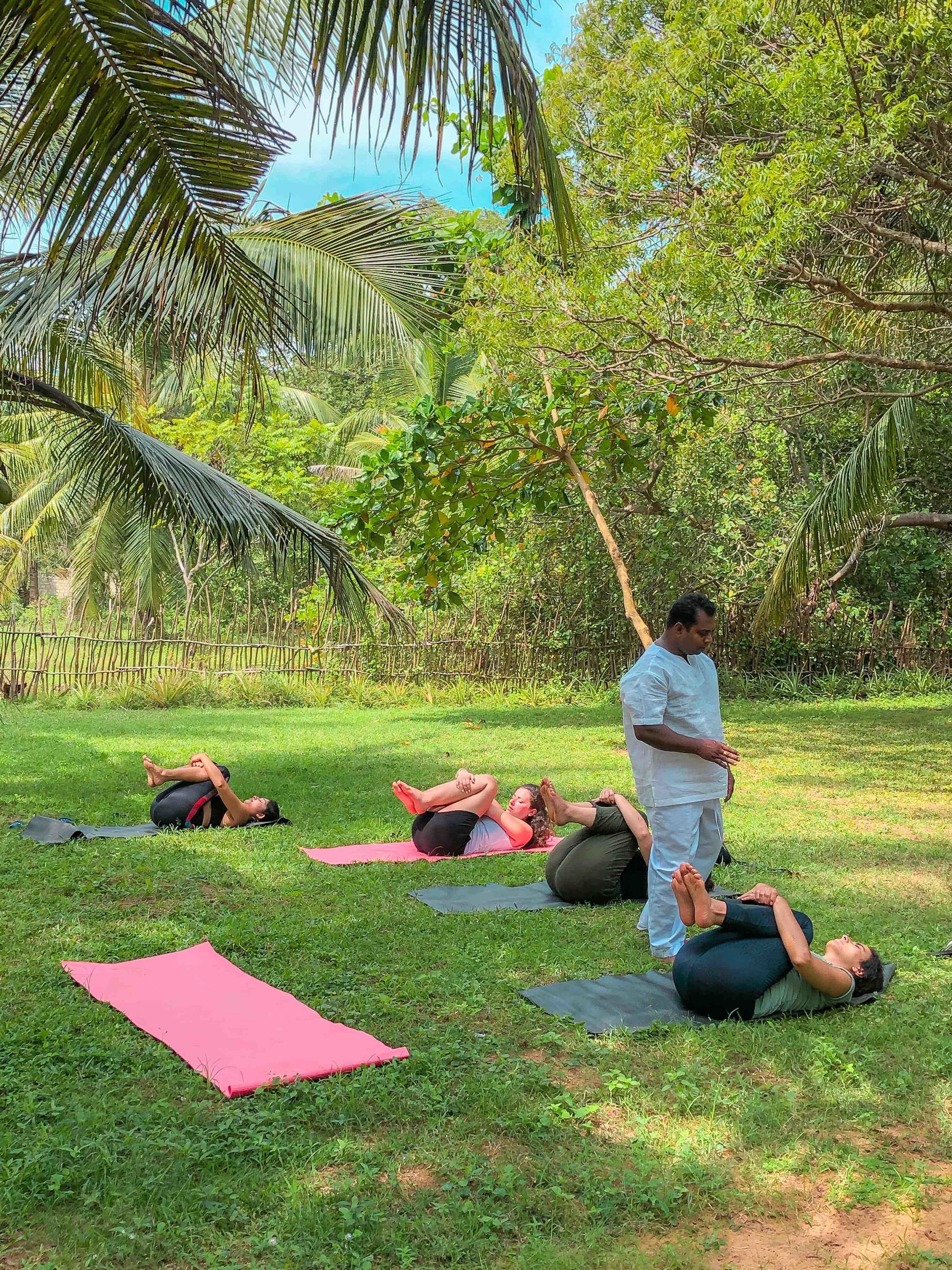 A group of people practicing yoga outdoors on a grassy area with trees and a clear sky in the background.