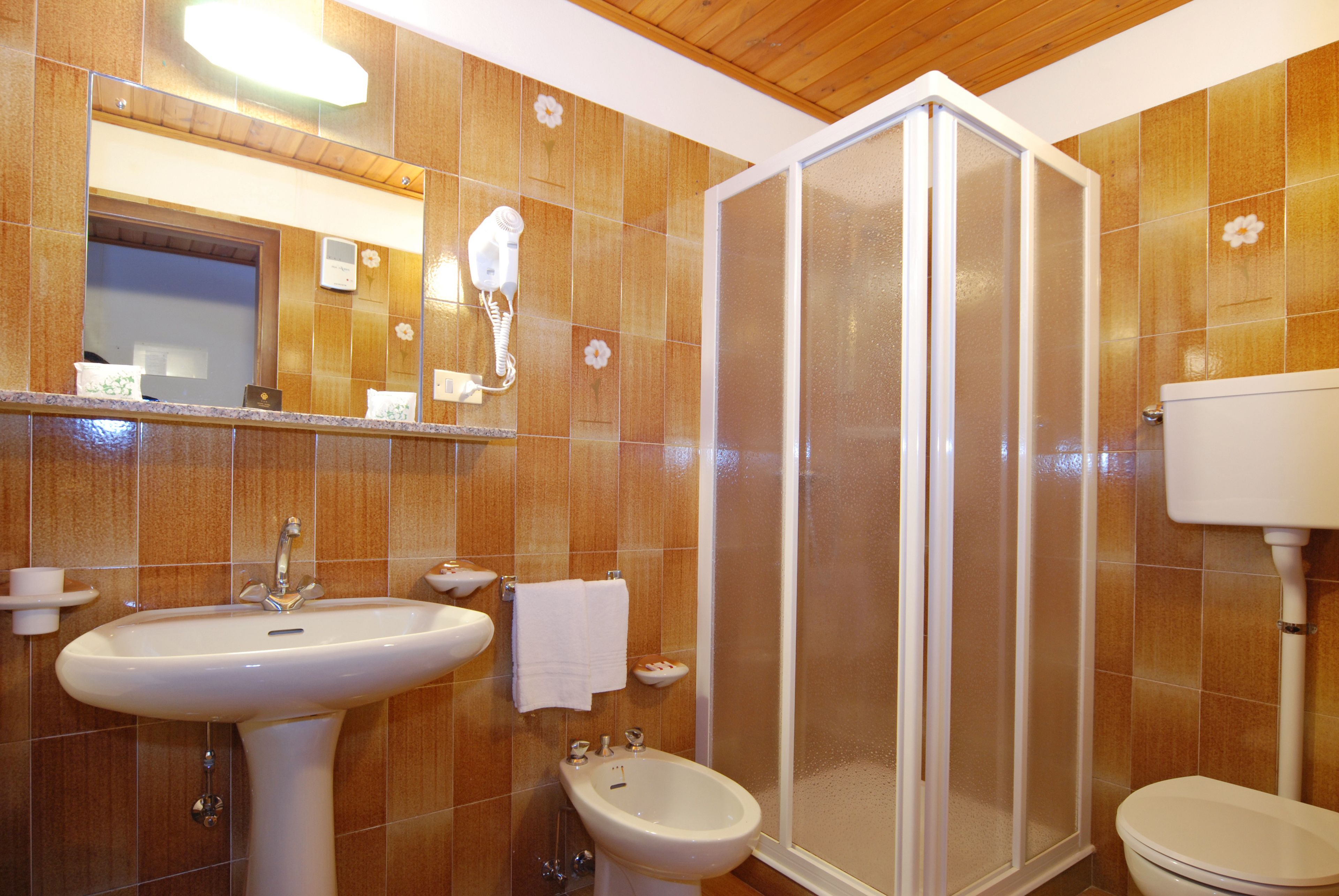 shower, free toiletries, hair dryer, bidet