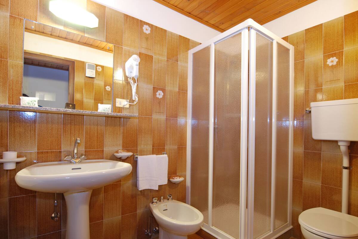 shower, free toiletries, hair dryer, bidet