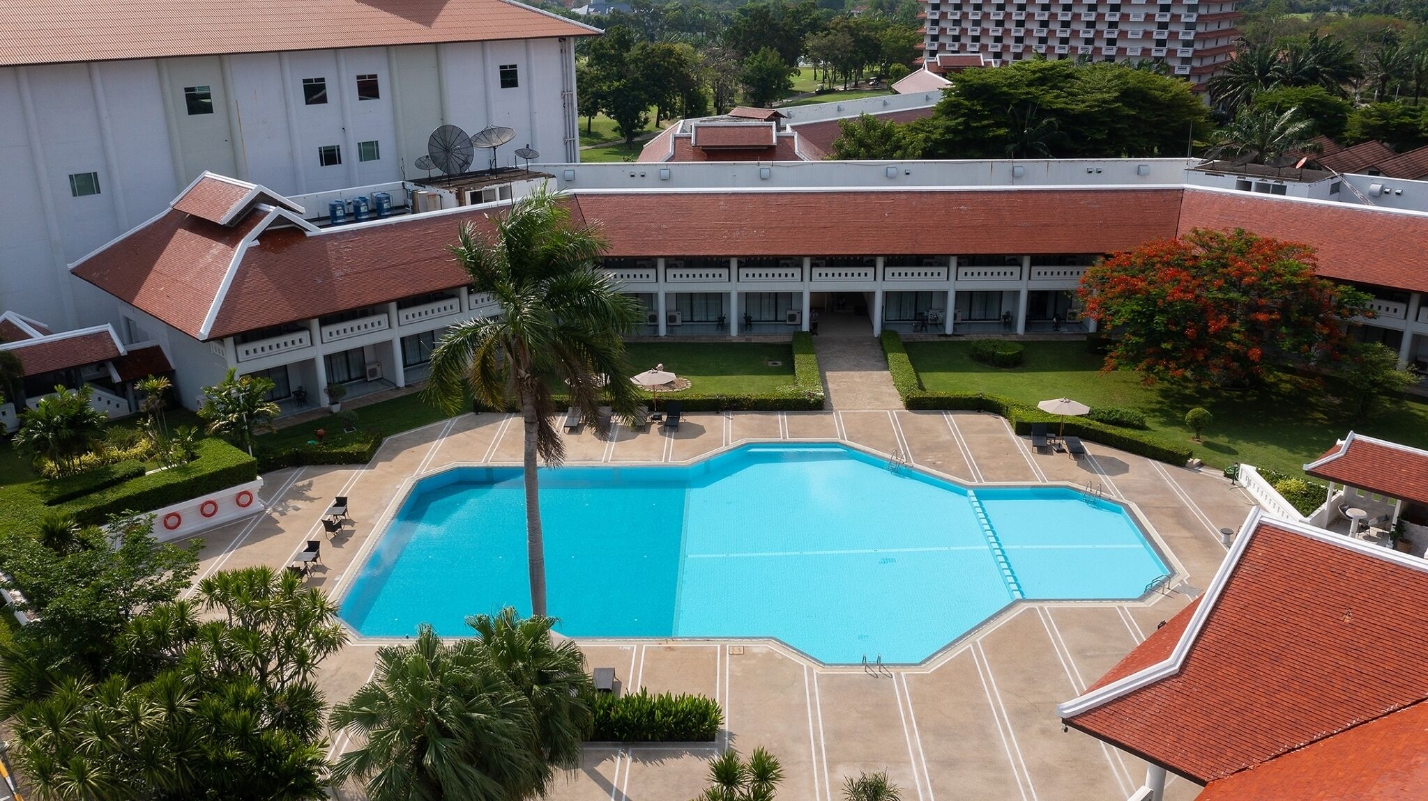 A large swimming pool with a surrounding deck, palm trees, and a building with a red roof in the background.