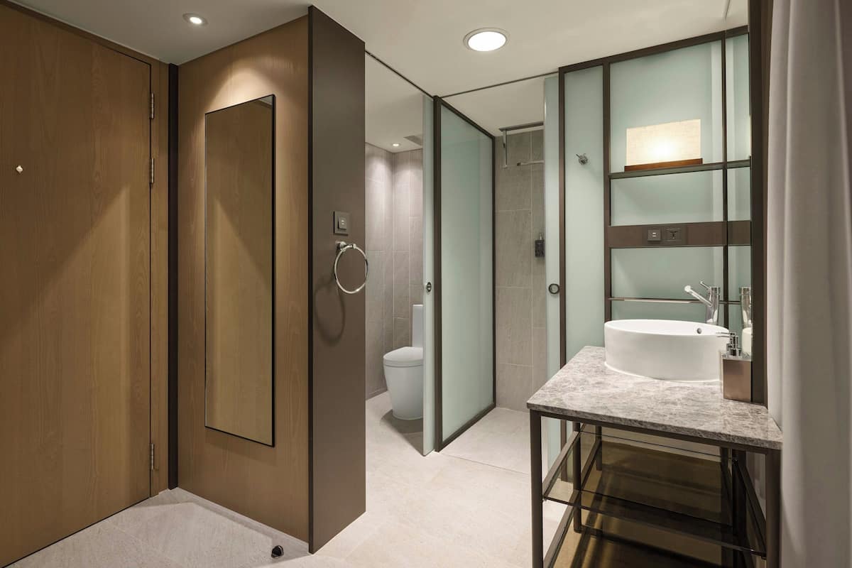 A modern bathroom with a large mirror, a bathtub, and a toilet.