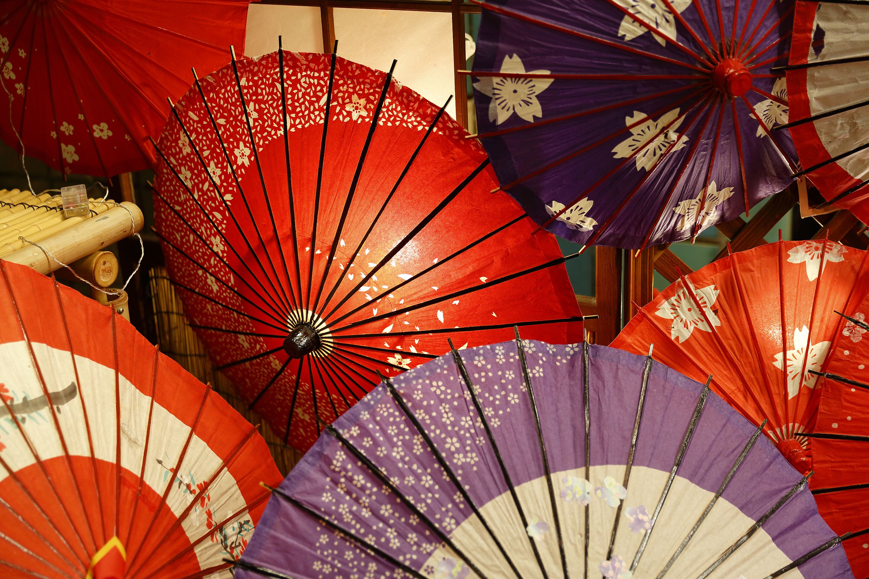 Un conjunto de paraguas tradicionales japoneses con diversos diseños y colores.