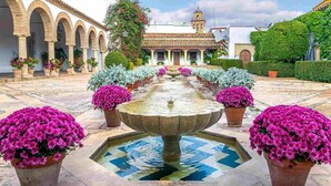 Un cortile con una fontana al centro, circondato da piante in vaso e un edificio con archi sullo sfondo.