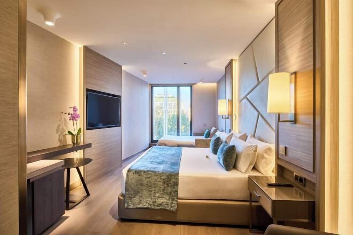 Premium bedding, down duvets, pillow-top beds, minibar