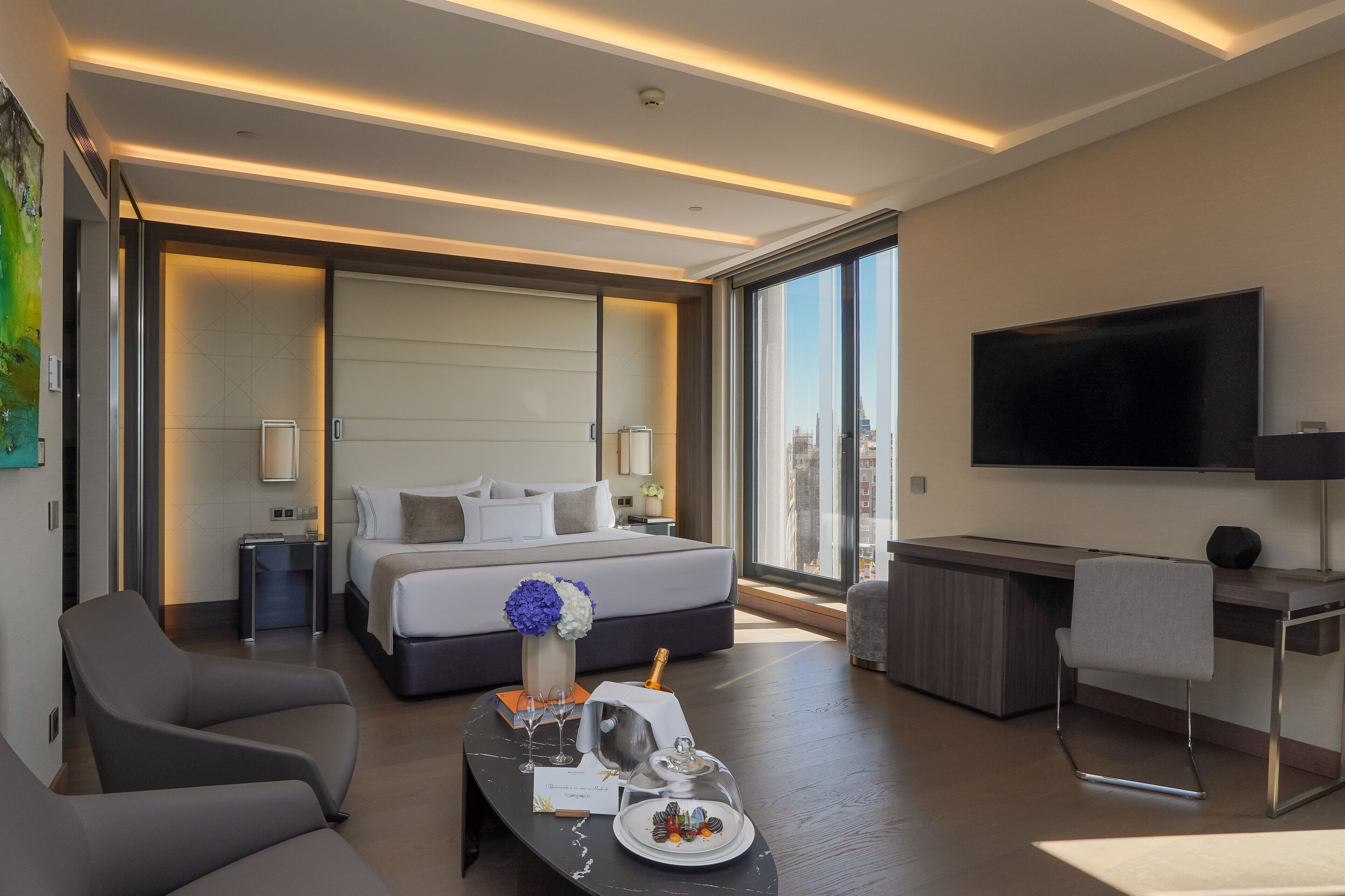 Peralatan tempat tidur premium, gebar bulu kapas, tilam berlapik 