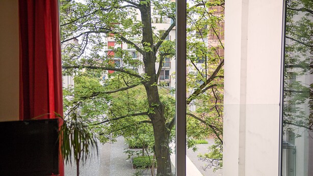 Vista desde una ventana con cortina roja, una planta en maceta y un árbol fuera.