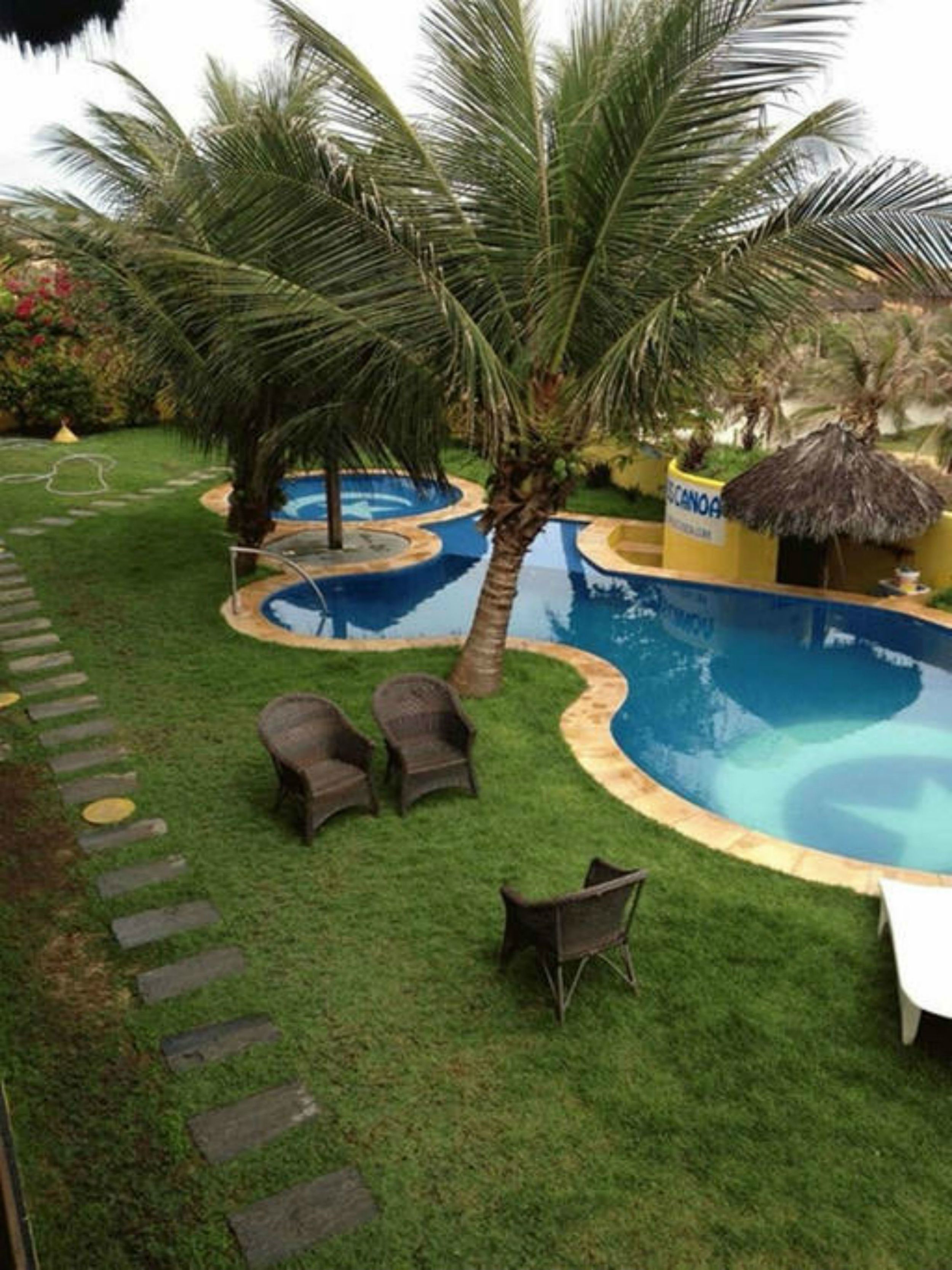 A swimming pool with a palm tree and lounge chairs.