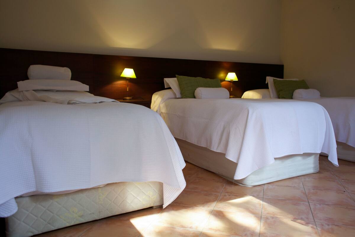 Free minibar items, in-room safe, blackout curtains, soundproofing