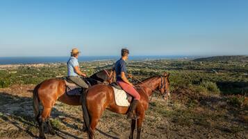 Deux personnes à cheval, évoluant sur un chemin de terre, avec une vue panoramique sur un paysage côtier.