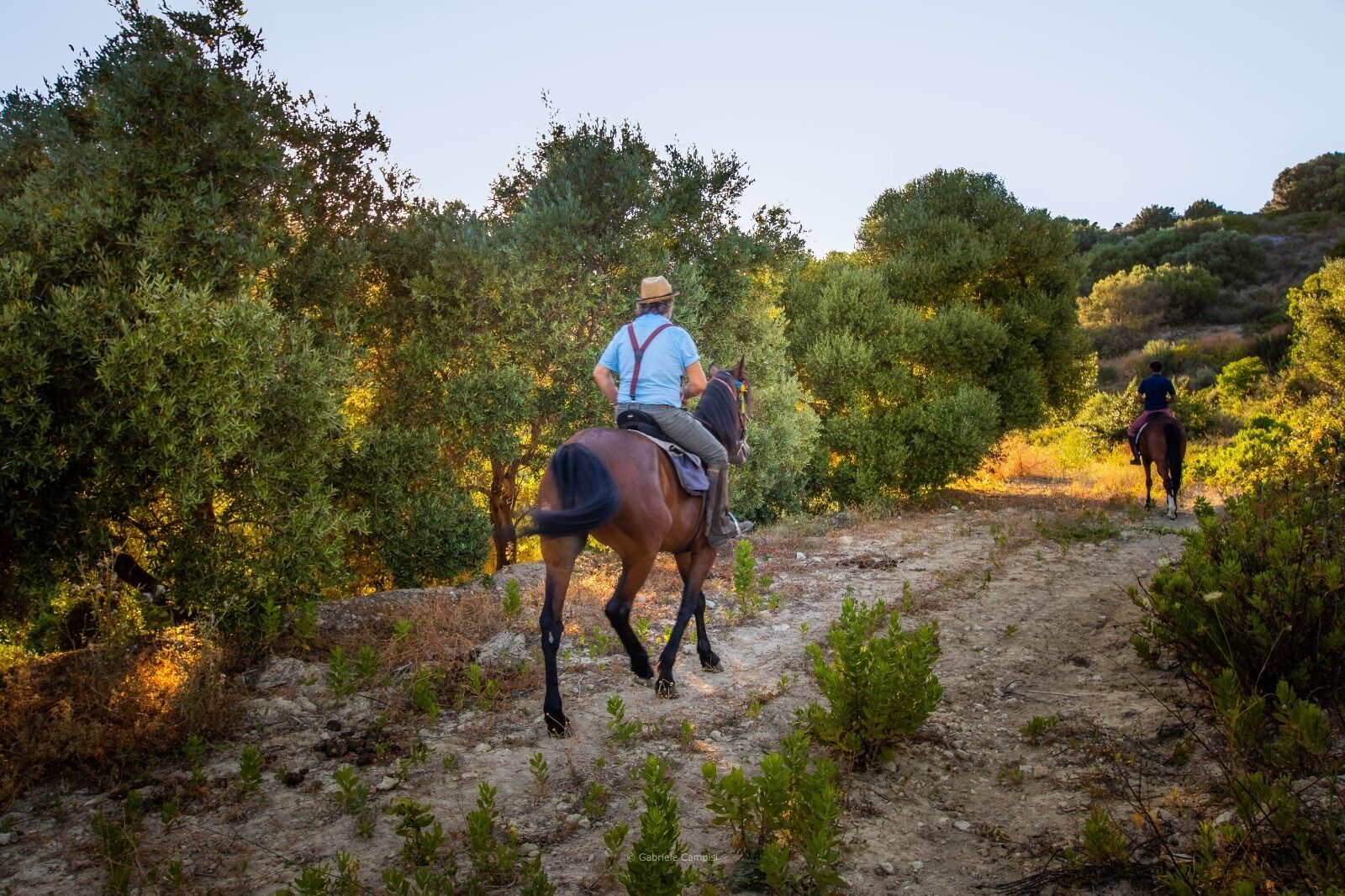 Una persona montando a caballo por un sendero de tierra rodeado de abundante vegetación.