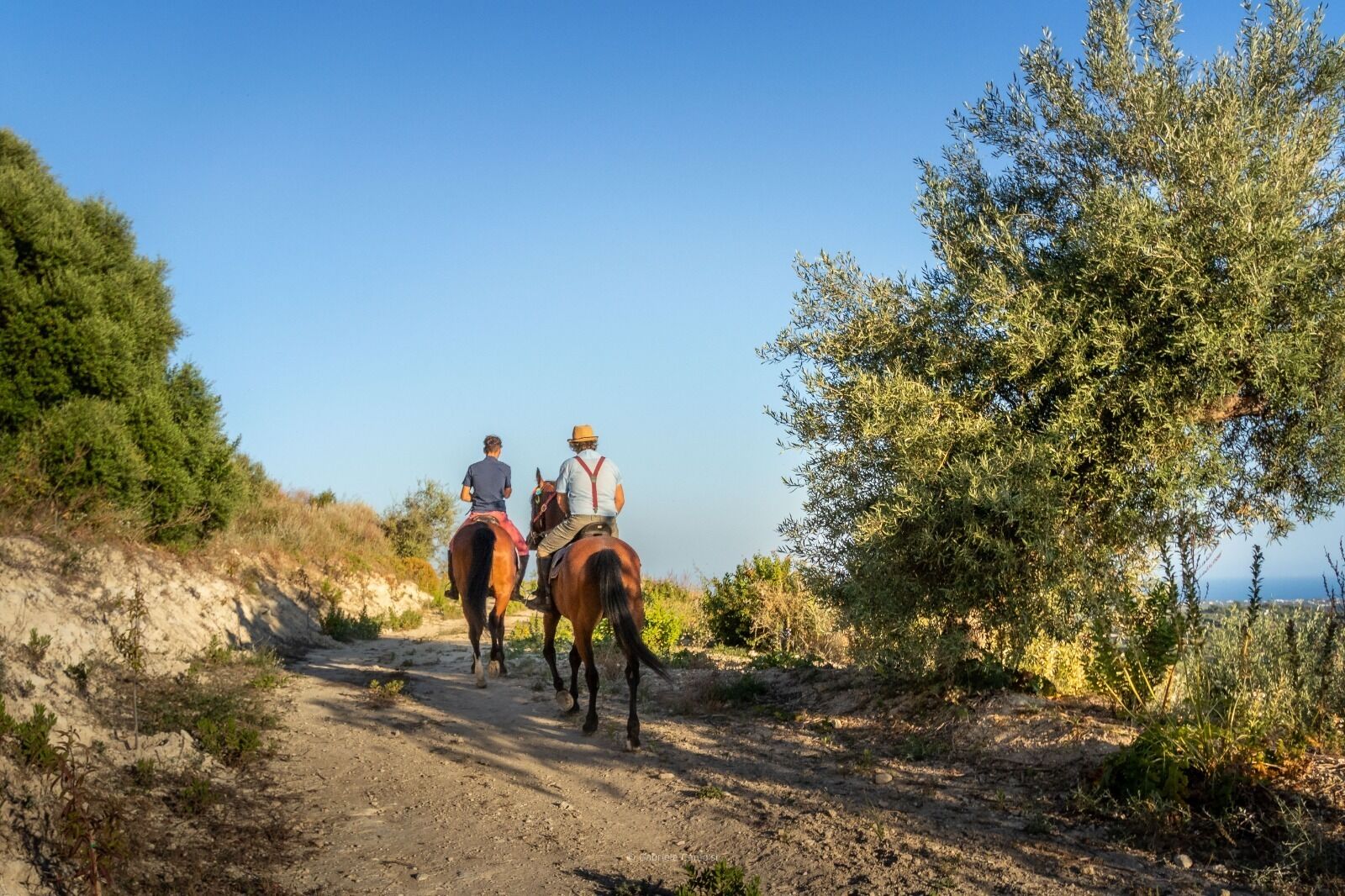 Zwei Personen reiten auf Pferden auf einem Feldweg, umgeben von Grünpflanzen.
