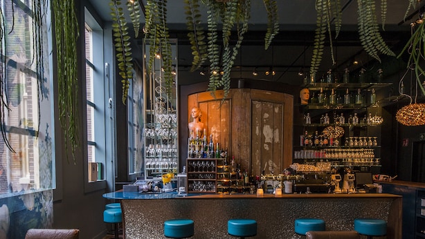 A bar area with hanging plants, a bar counter, and seating with stools. - Boutiquehotel Staats (Haarlem)