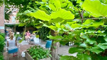 A courtyard with outdoor seating and greenery.