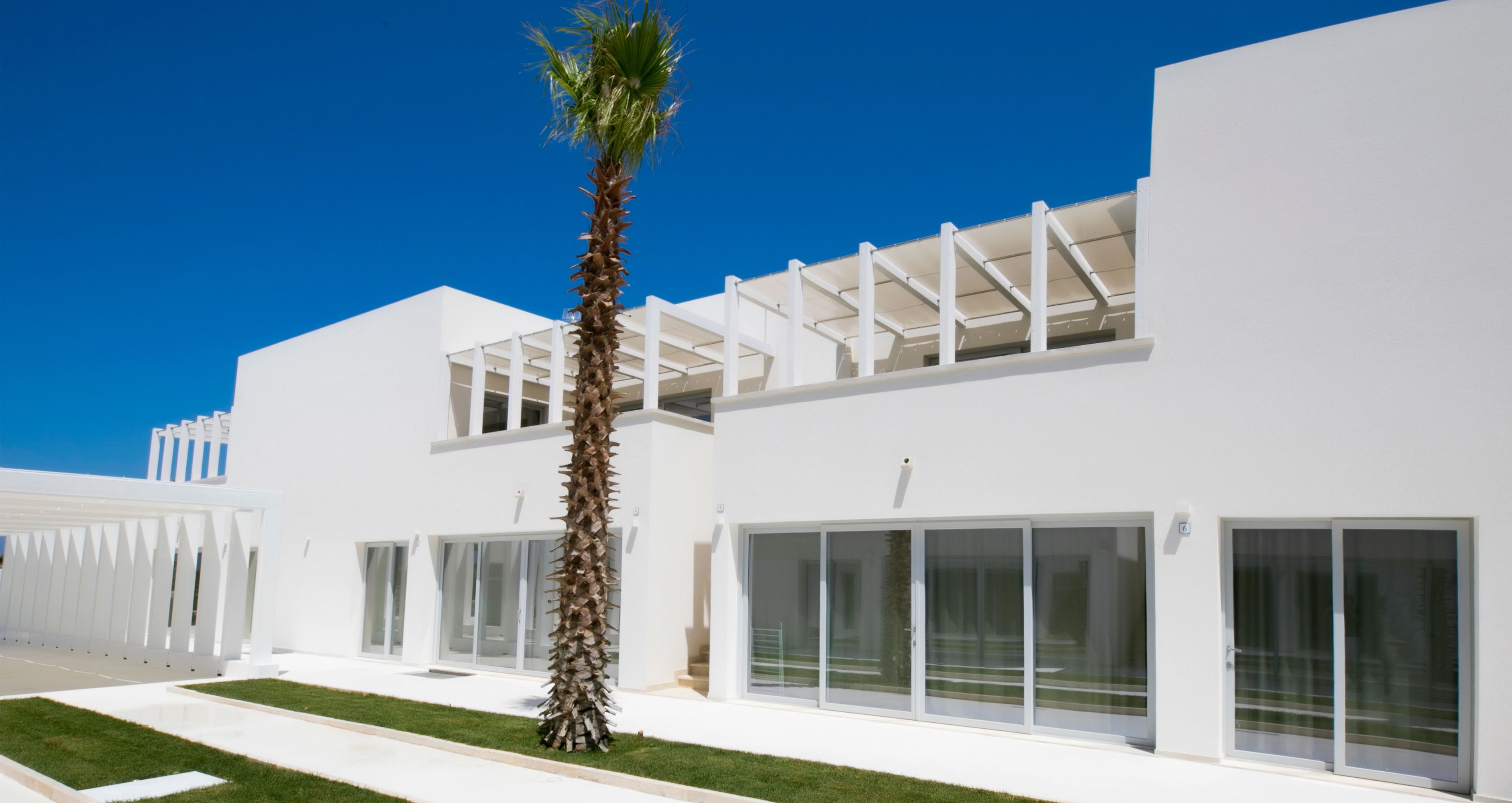 A modern white building with large glass windows and a palm tree in front.