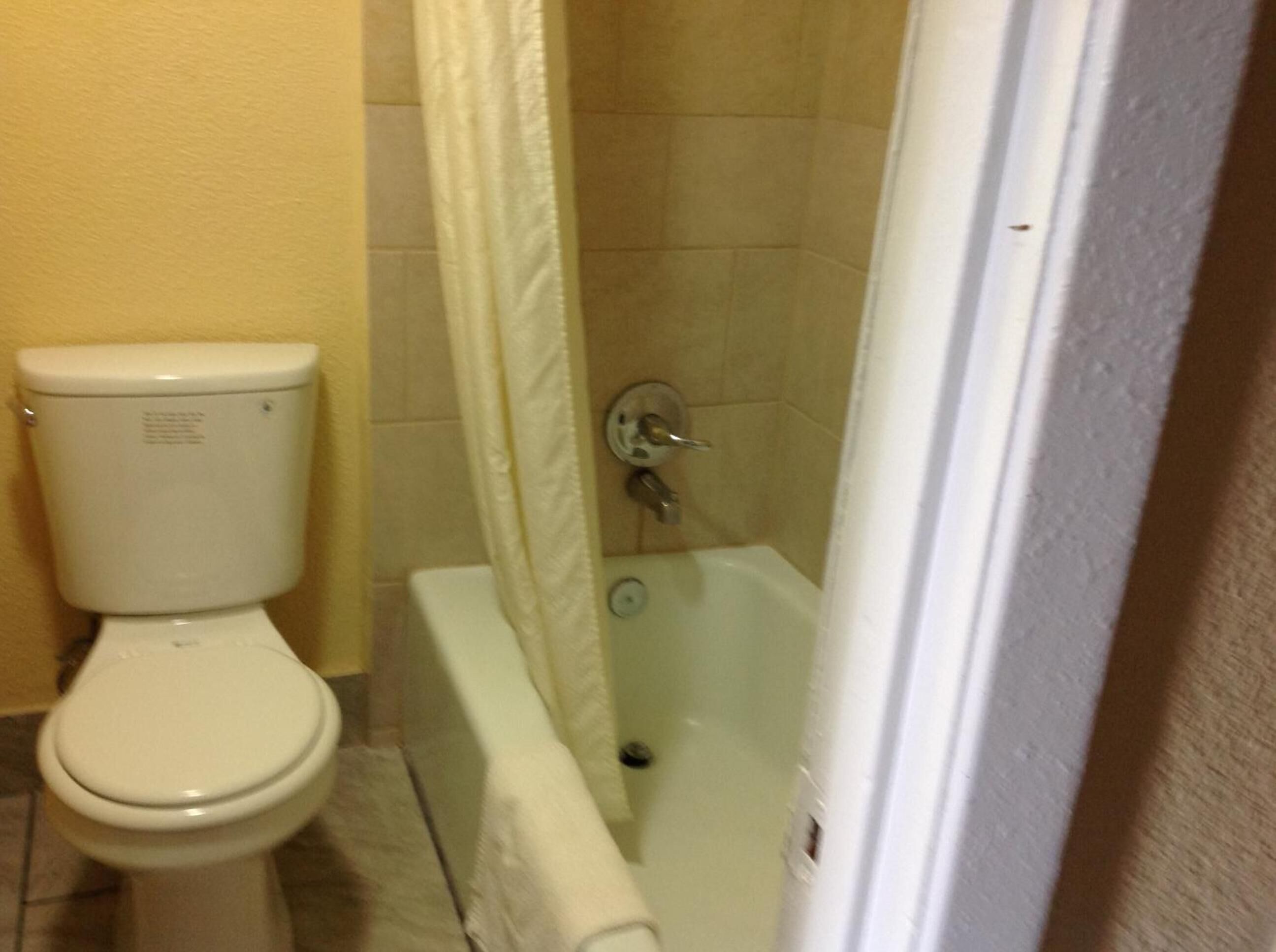 A bathroom with a toilet, a shower with a curtain, and a bathtub.