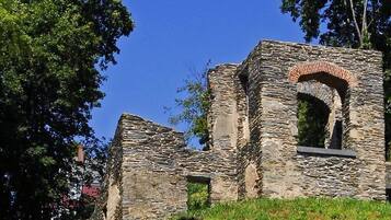 Ruinas de piedra con un ventanal arqueado y un arco de ladrillo, rodeado de árboles.