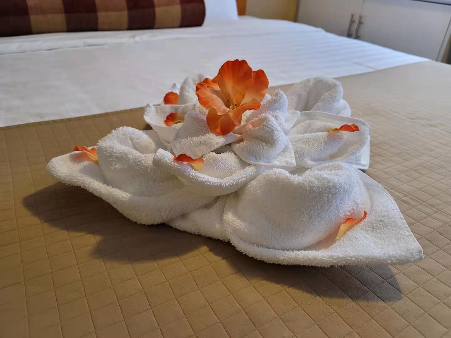 comfort suite, 1 queen bed, non smoking | room amenity